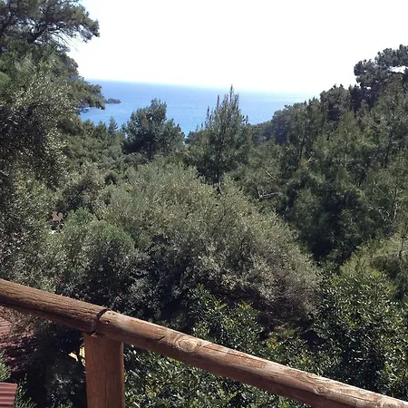 Yerdeniz Kamp *