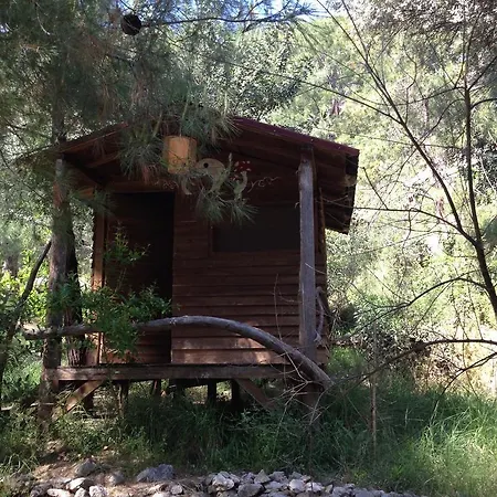 Yerdeniz Kamp