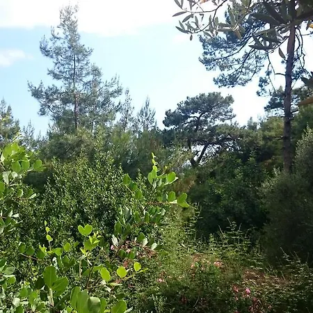 Campingplatz Yerdeniz Kamp Ölüdeniz