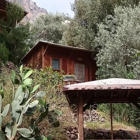 Campingplatz Yerdeniz Kamp *