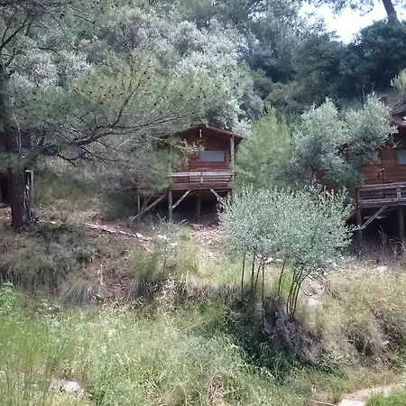 Yerdeniz Kamp Campingplatz Ölüdeniz